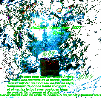 Bon Restant 2006 & Bon D�but 2007 les Ami